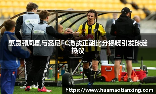 惠灵顿凤凰与悉尼FC激战正酣比分揭晓引发球迷热议